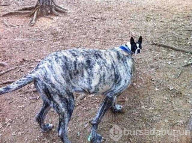 Günün en çok paylaşılan fotoğrafları