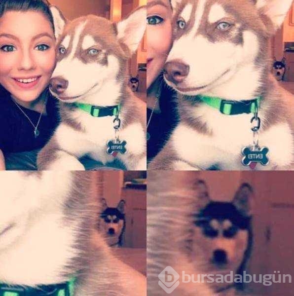 Günün en çok paylaşılan fotoğrafları