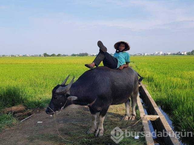 Günün en çok paylaşılan fotoğrafları