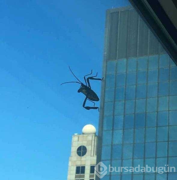 Günün en çok paylaşılan fotoğrafları
