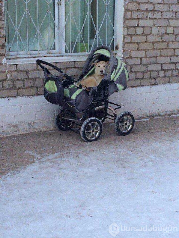 Günün en çok paylaşılan fotoğrafları