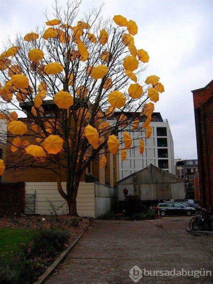 Günün en çok paylaşılan fotoğrafları