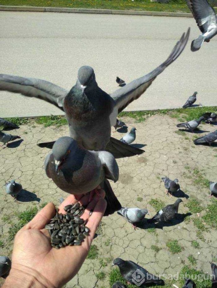 Günün en çok paylaşılan fotoğrafları