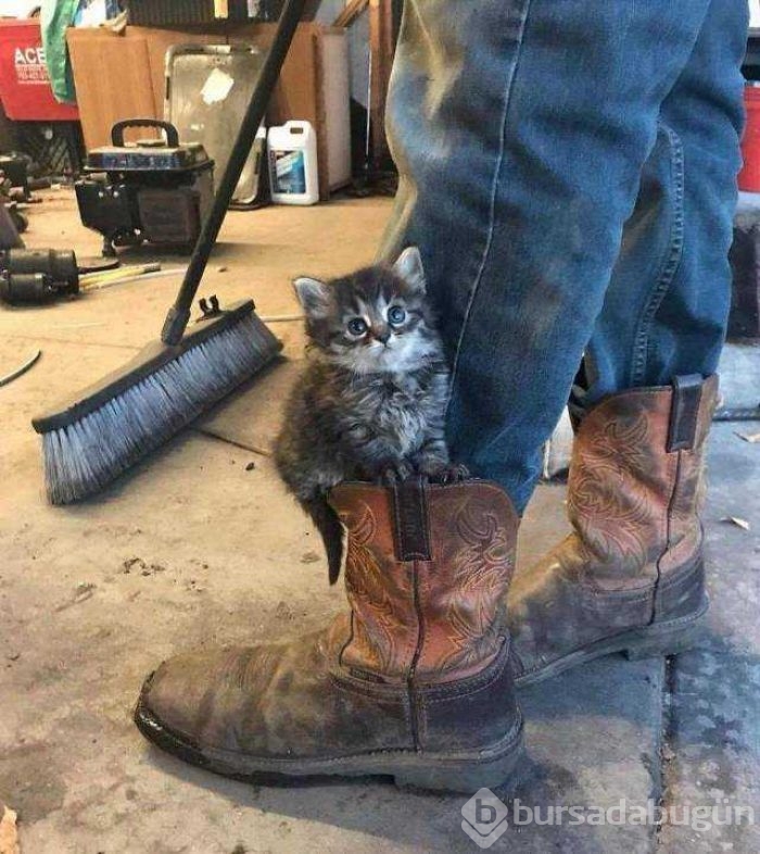 Günün en çok paylaşılan fotoğrafları