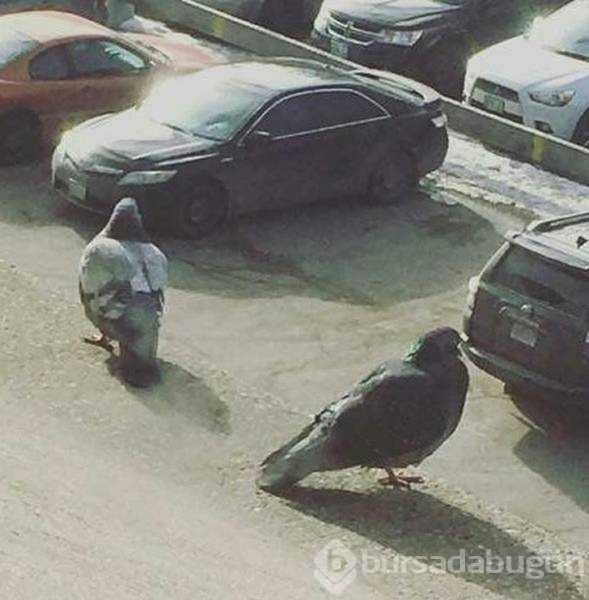 Günün en çok paylaşılan fotoğrafları
