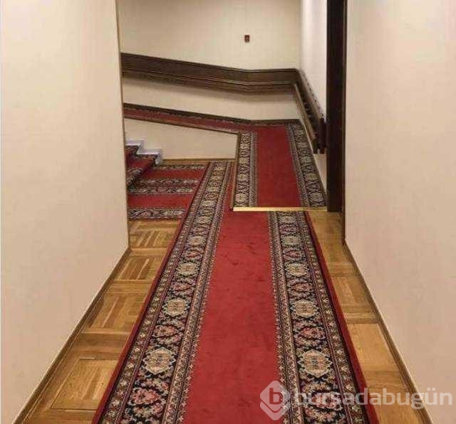 Günün en çok paylaşılan fotoğrafları