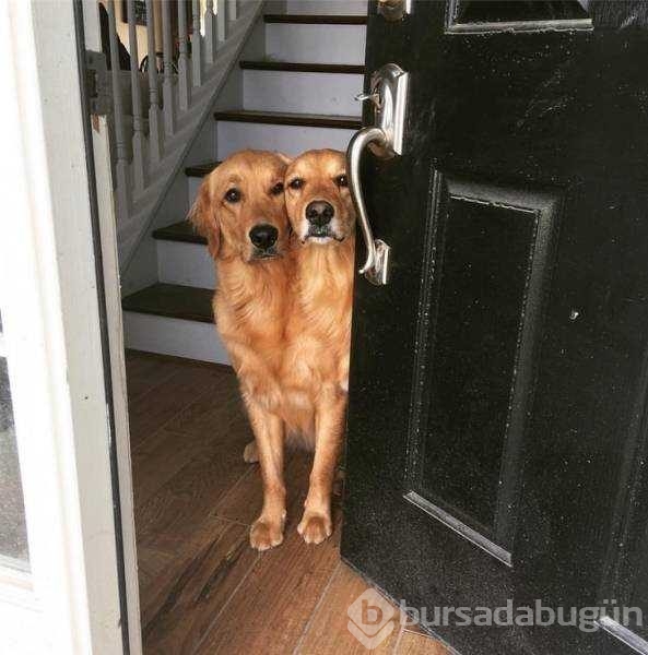 Günün en çok paylaşılan fotoğrafları
