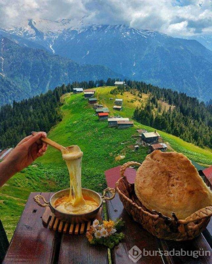 Günün en çok paylaşılan fotoğrafları