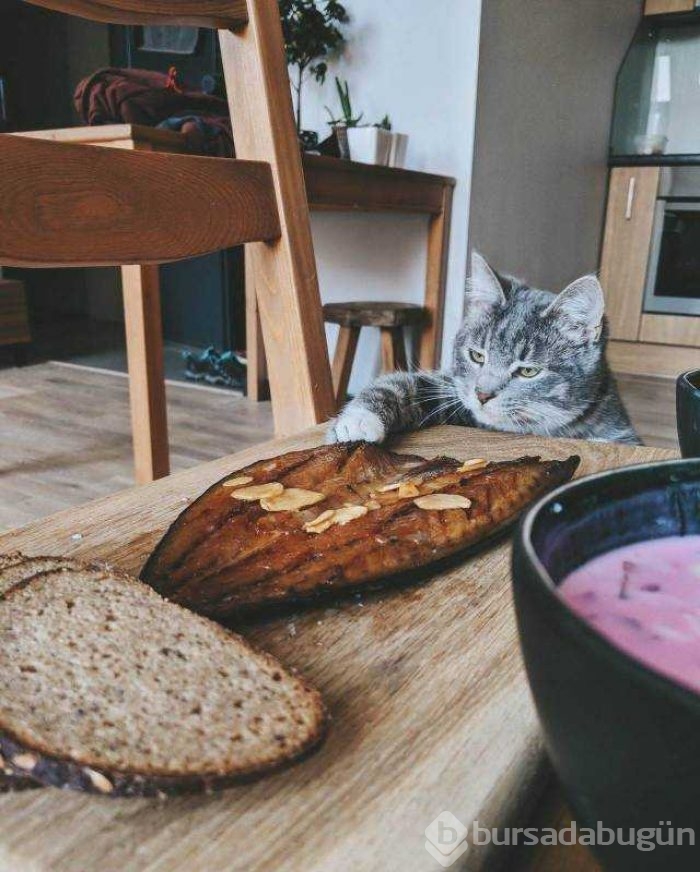 Günün en çok paylaşılan fotoğrafları