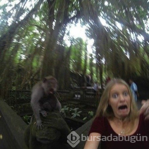 En çılgın 'Selfie'ler