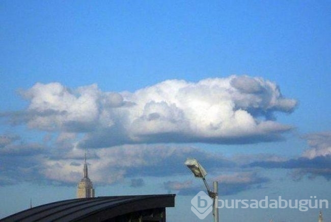 Bu fotoğraflara 2 kez bakın
