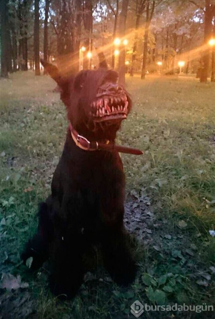Bu fotoğraflara 2 kez bakın
