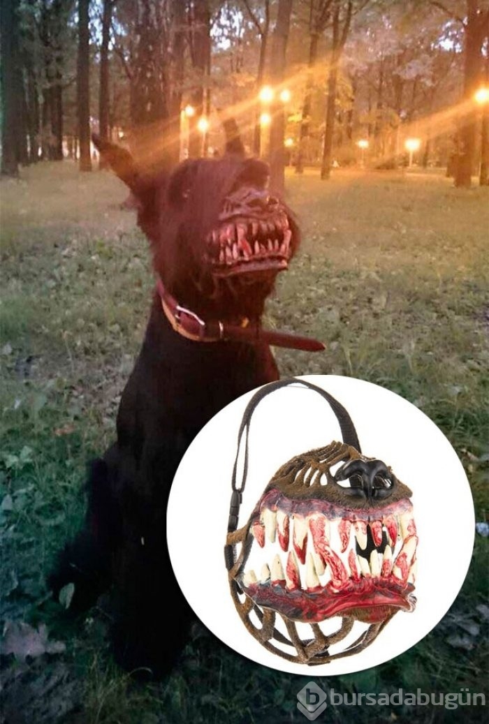 Bu fotoğraflara 2 kez bakın
