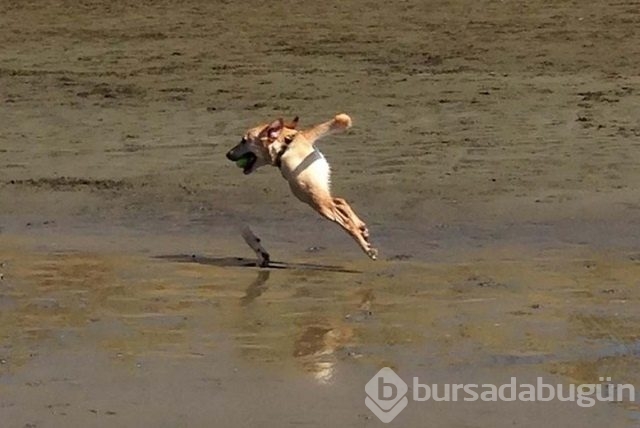 Bu fotoğraflara 2 kez bakın
