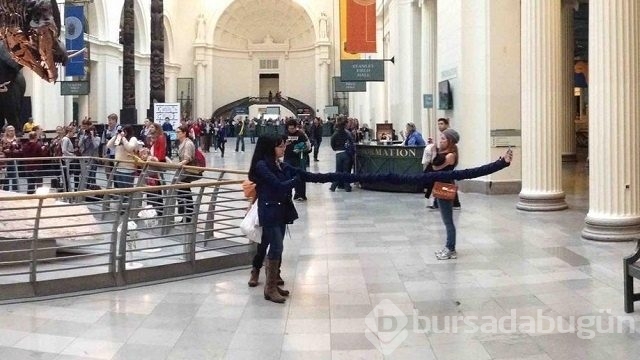 Bu fotoğraflara 2 kez bakın
