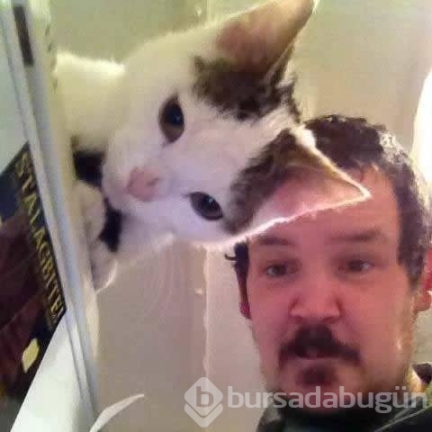 Bu fotoğraflara 2 kez bakın
