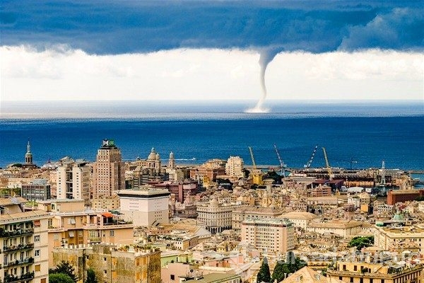 Günün en çılgın 20 fotoğrafı