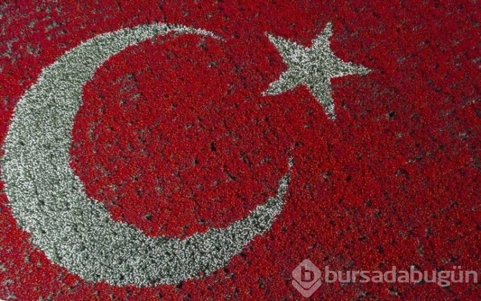 Türk Bayrağı temalı lale peyzajı dünya rekoru kırdı