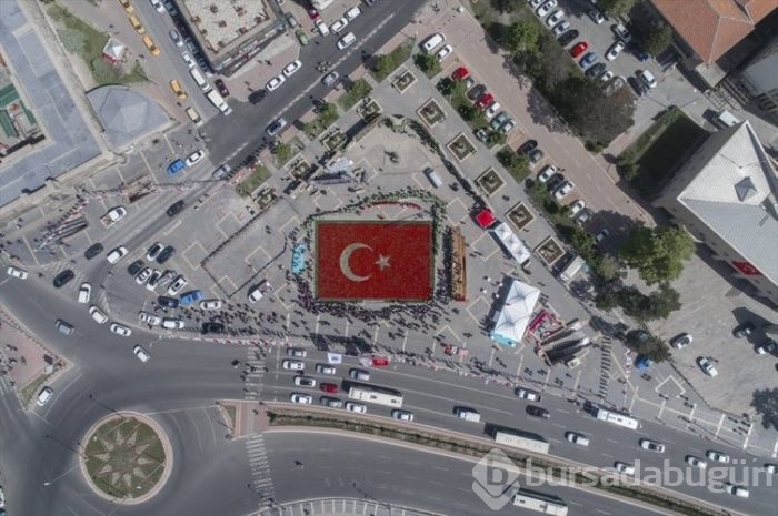 Türk Bayrağı temalı lale peyzajı dünya rekoru kırdı