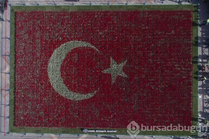 Türk Bayrağı temalı lale peyzajı dünya rekoru kırdı