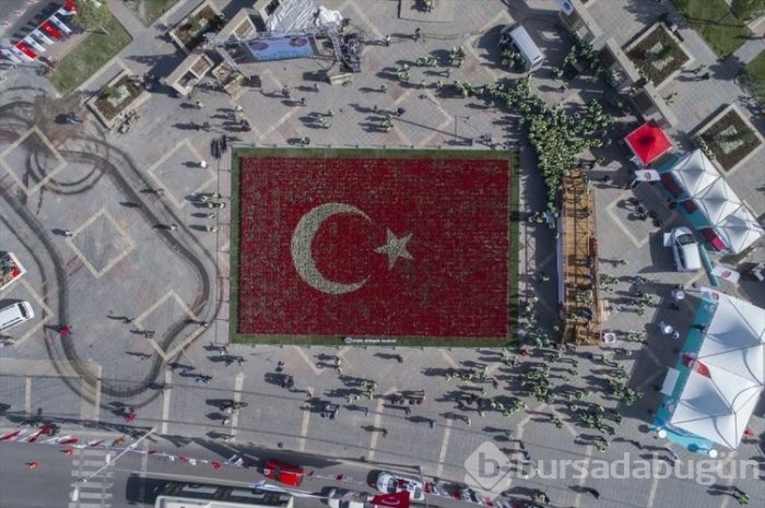 Türk Bayrağı temalı lale peyzajı dünya rekoru kırdı