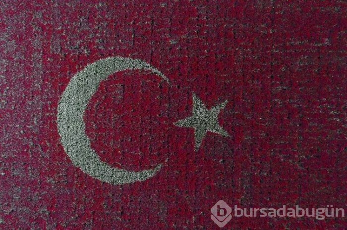 Türk Bayrağı temalı lale peyzajı dünya rekoru kırdı