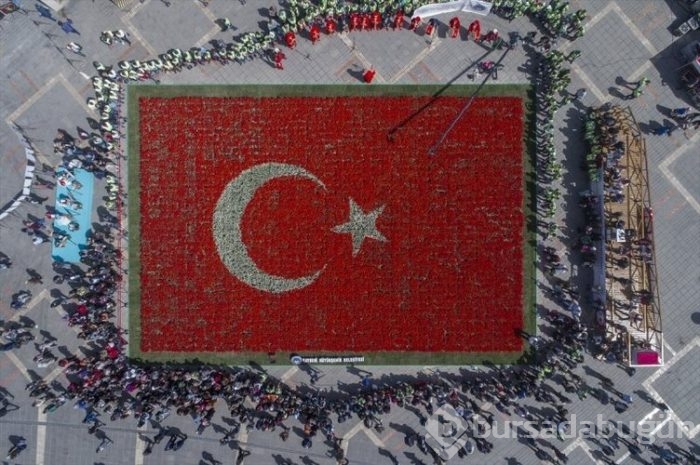 Türk Bayrağı temalı lale peyzajı dünya rekoru kırdı