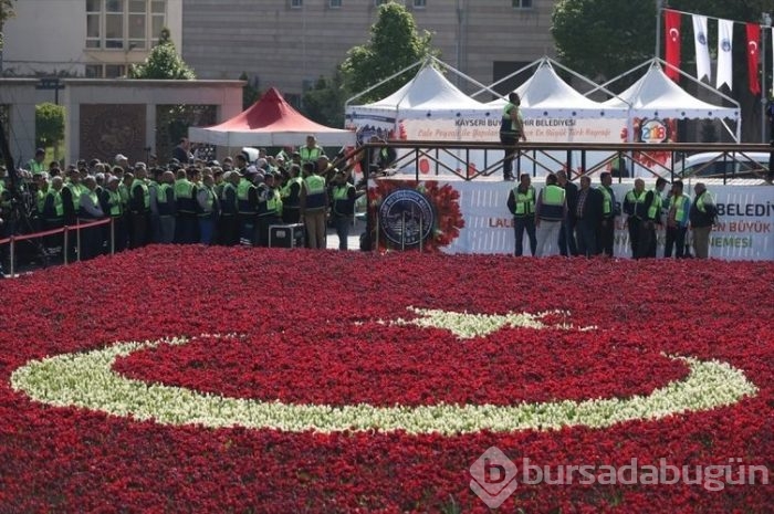 Türk Bayrağı temalı lale peyzajı dünya rekoru kırdı