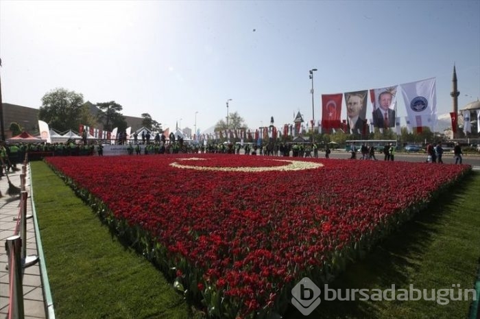 Türk Bayrağı temalı lale peyzajı dünya rekoru kırdı