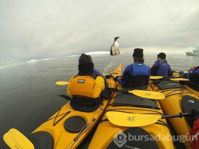 Günün en çok paylaşılan fotoğrafları