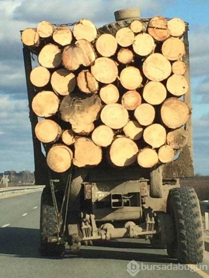 Günün en çok paylaşılan fotoğrafları