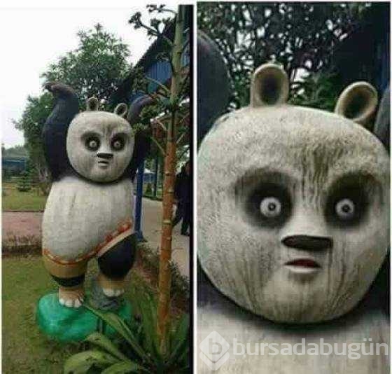 Günün en çok paylaşılan fotoğrafları