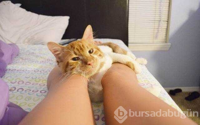 Günün en çok paylaşılan fotoğrafları