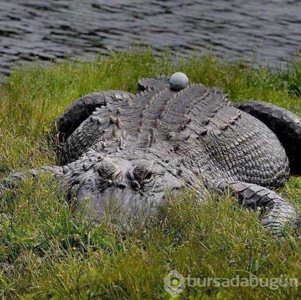 Günün en çok paylaşılan fotoğrafları