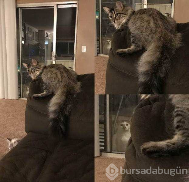 Günün en çok paylaşılan fotoğrafları