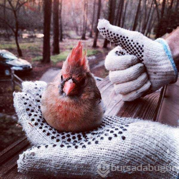 Günün en çok paylaşılan fotoğrafları