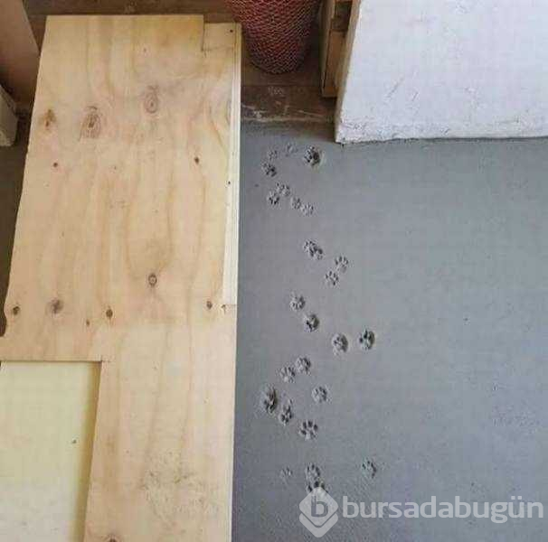 Günün en çok paylaşılan fotoğrafları