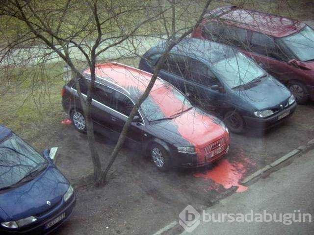 Günün en çok paylaşılan fotoğrafları