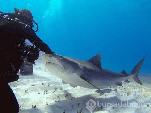 Günün en çok paylaşılan fotoğrafları