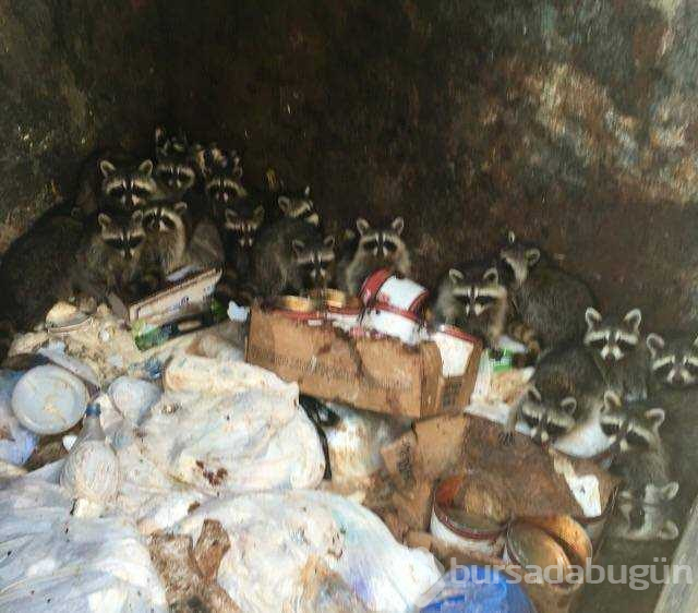 Günün en çok paylaşılan fotoğrafları