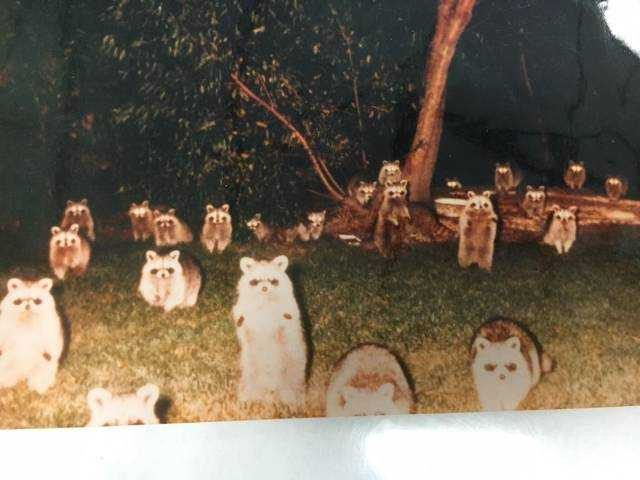 Günün en çok paylaşılan fotoğrafları