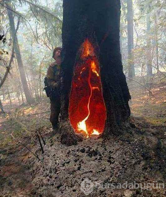 Günün en çok paylaşılan fotoğrafları