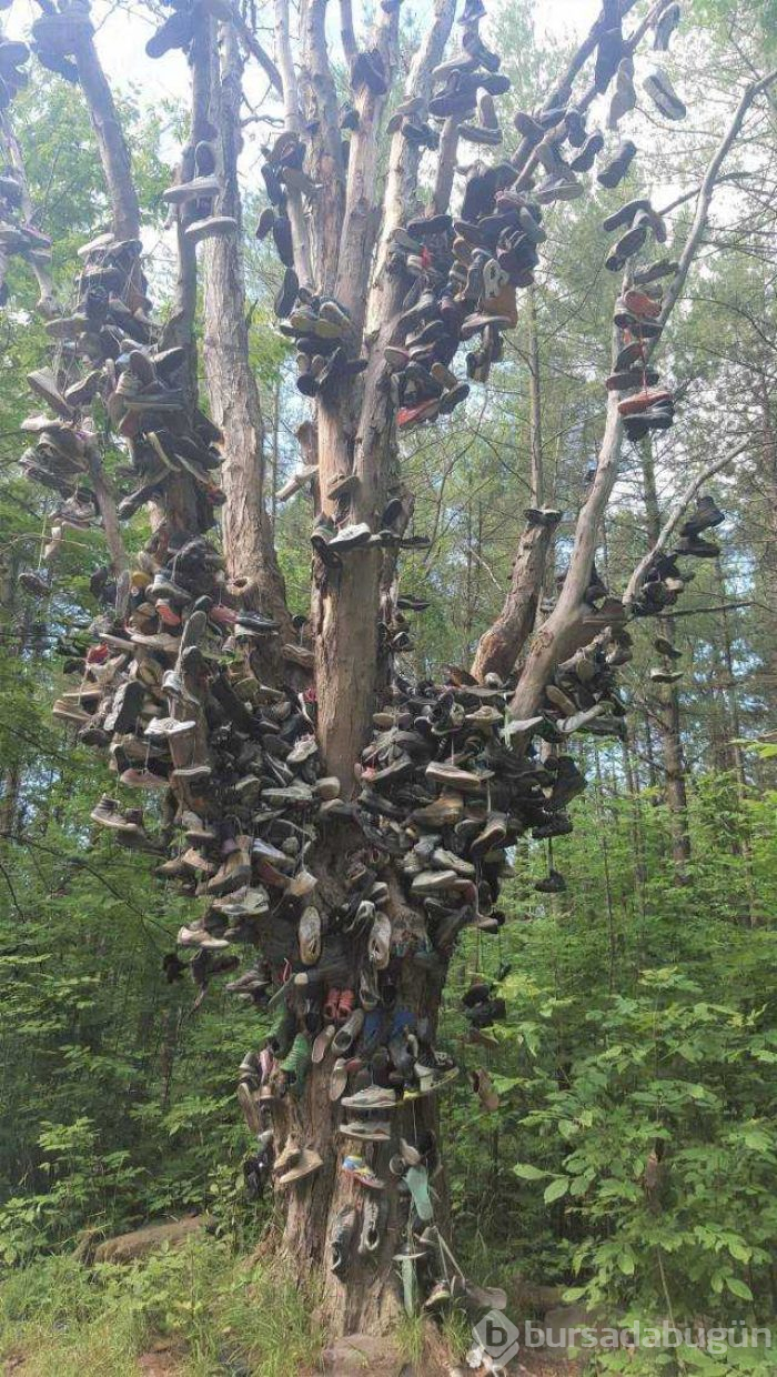 Günün en çok paylaşılan fotoğrafları