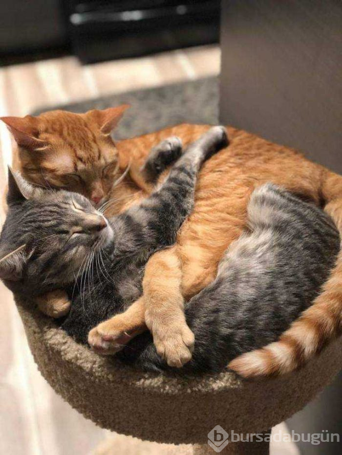 Günün en çok paylaşılan fotoğrafları