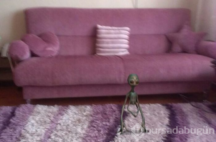 Gerçek mi, sahte mi?