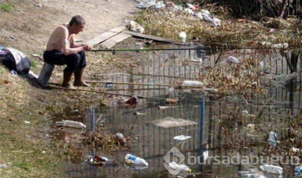 Sadece Rusya'da görebileceğiniz ilginç kareler
