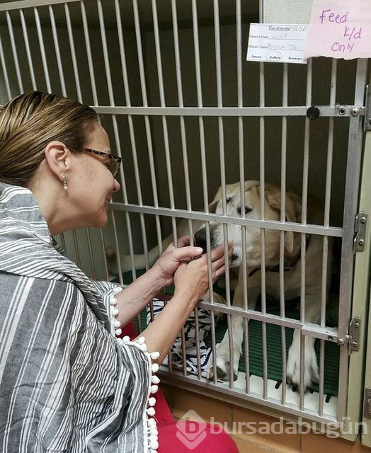 Köpeğin değişimi duygulandırdı