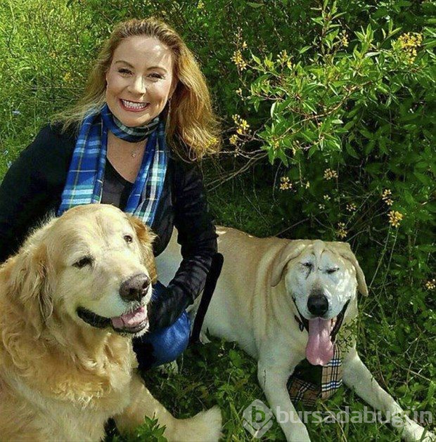 Köpeğin değişimi duygulandırdı