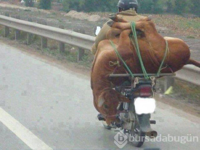 Bir motosikletle neler taşınabilir?