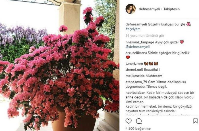 Ünlü isimlerin Instagram paylaşımları
